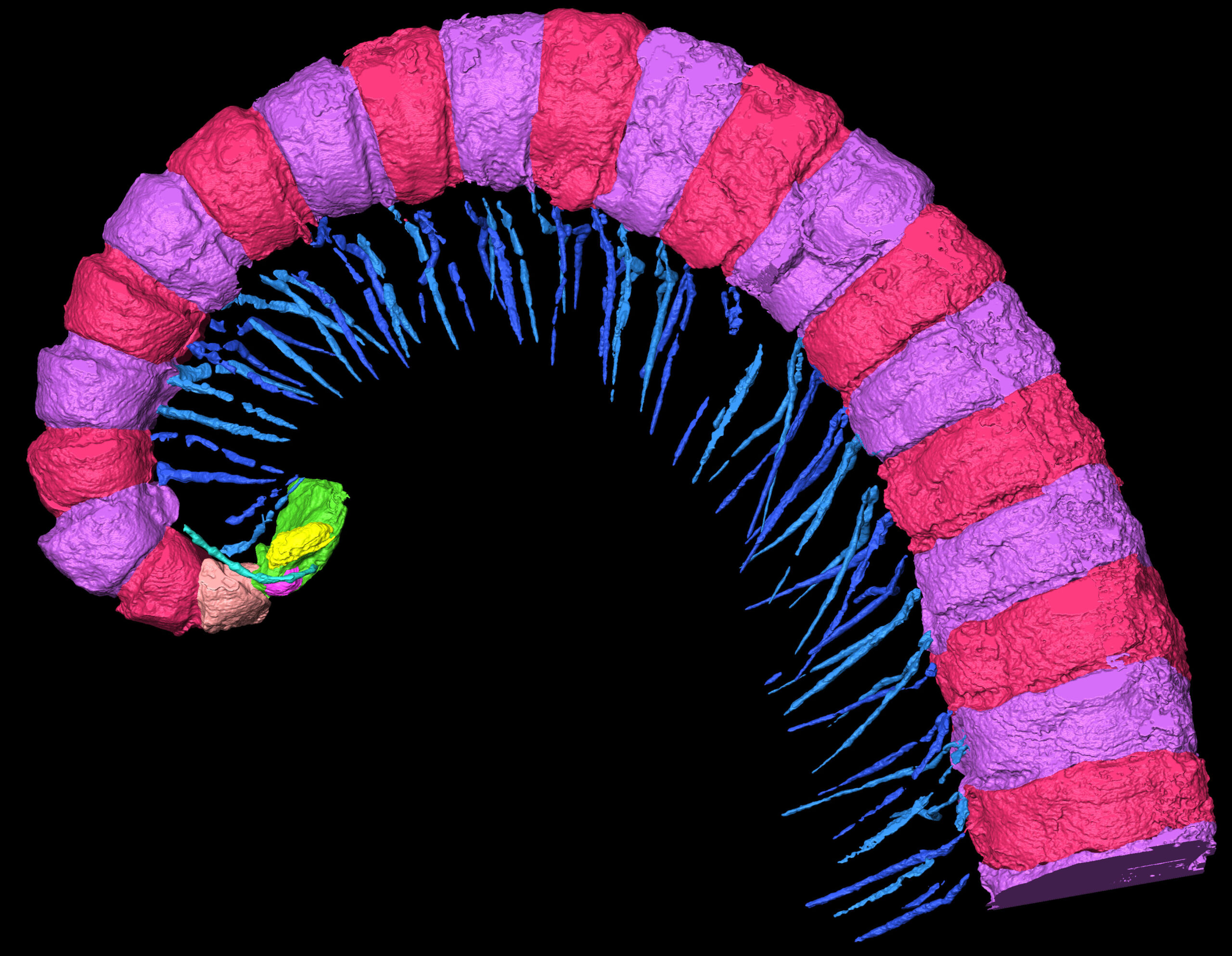 Biosignatures et Vie Primitive - LGLTPE