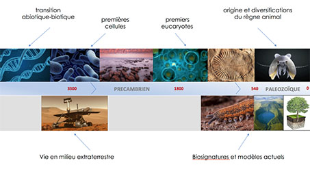 Biosignatures et Vie Primitive - LGLTPE