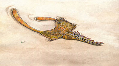 Biosignatures et Vie Primitive - LGLTPE
