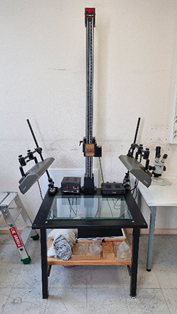 Collections de paléontologie - géologie et Imagerie 3D - LGLTPE