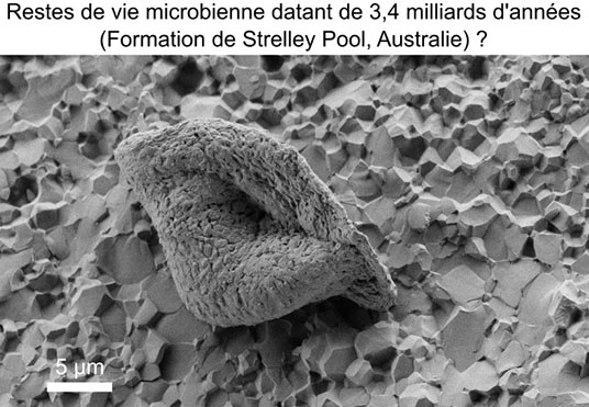 Biosignatures et Vie Primitive - LGLTPE