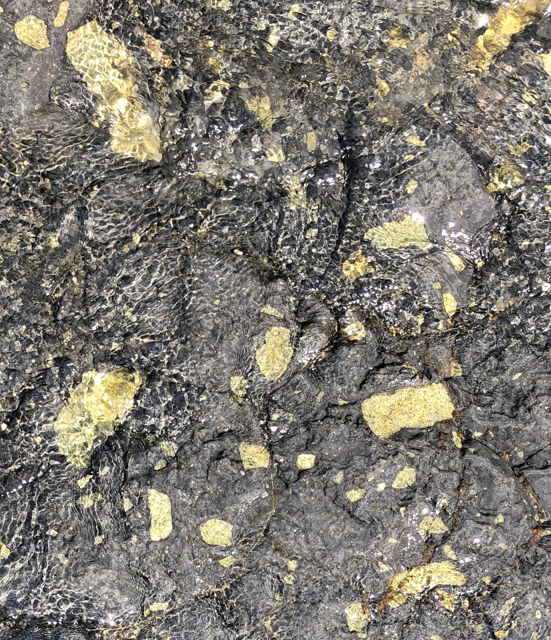 Peridotites Orguessousleau